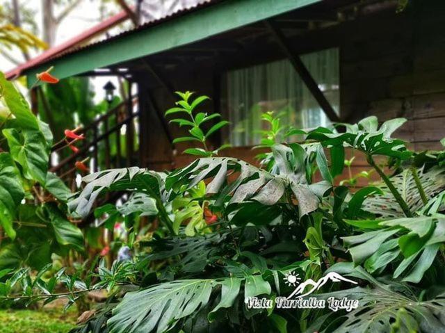 Vista Turrialba Lodge Exterior foto