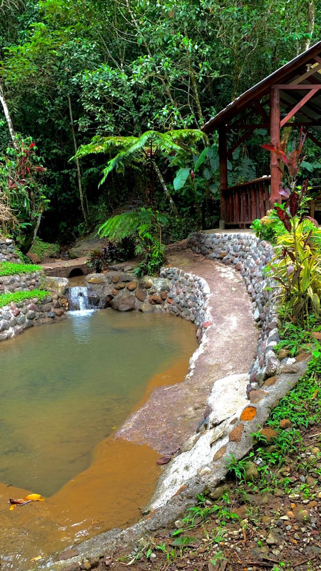 Vista Turrialba Lodge Exterior foto