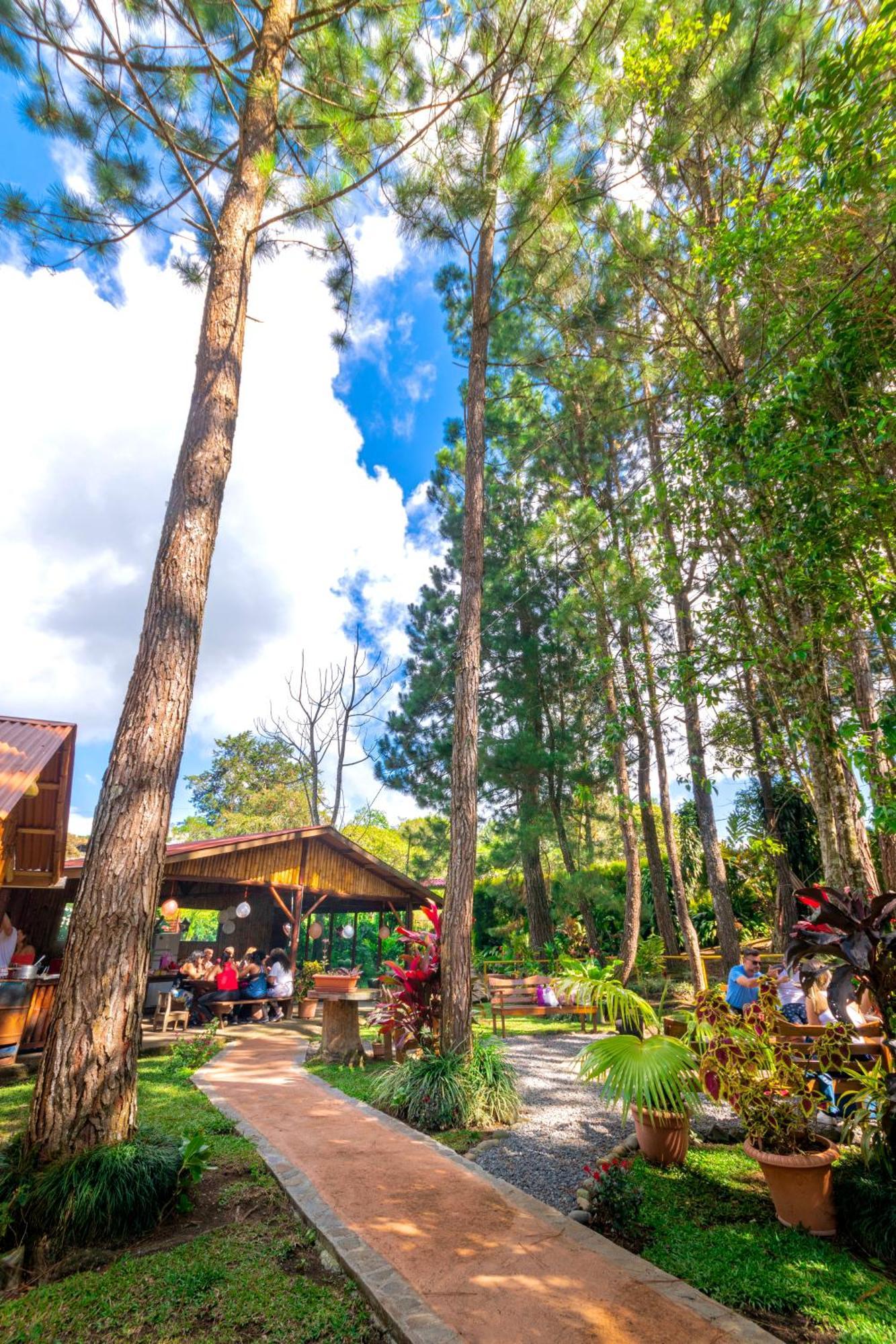 Vista Turrialba Lodge Exterior foto