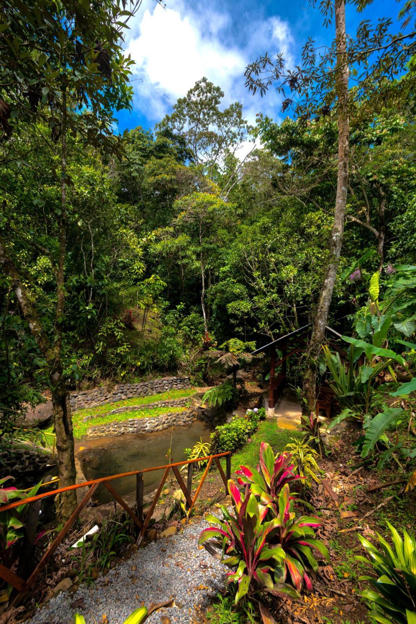 Vista Turrialba Lodge Exterior foto