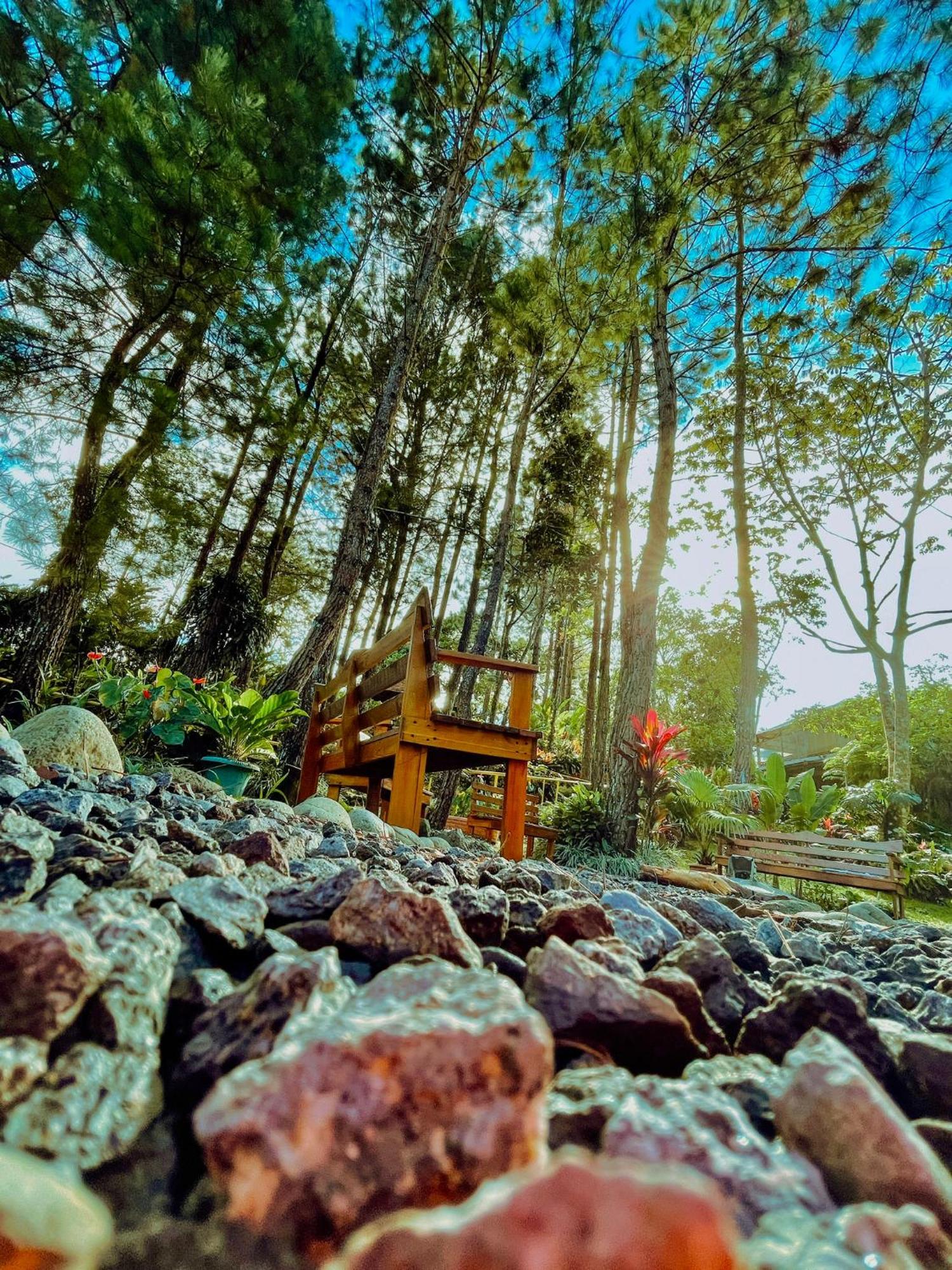 Vista Turrialba Lodge Exterior foto