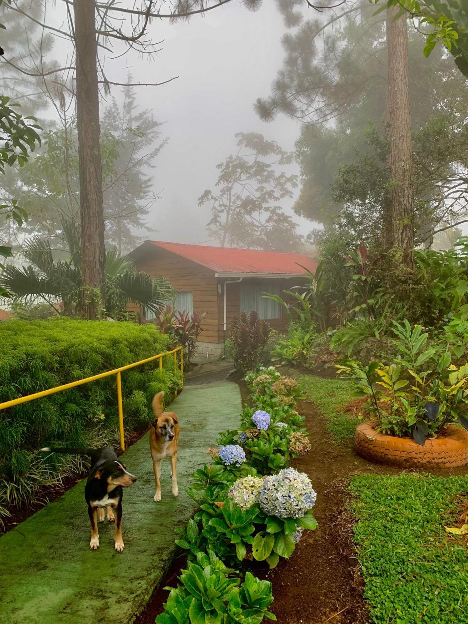 Vista Turrialba Lodge Exterior foto